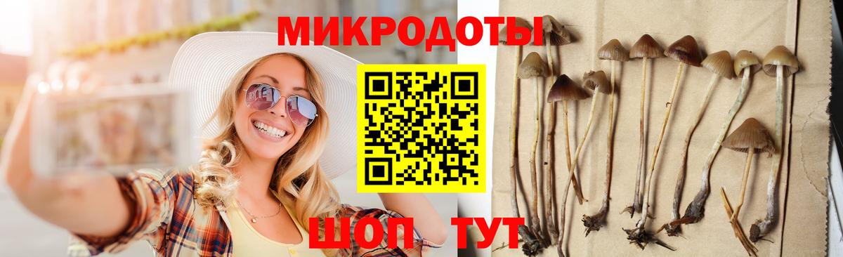 Галлюциногенные грибы Psilocybine cubensis  Вход с VPN  Галлюциногенные грибы Psilocybe  Валуйки 